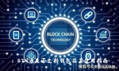 : BTM币是否支持钱包及其使用指南