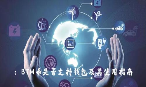 : BTM币是否支持钱包及其使用指南
