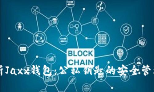 深入剖析Jaxx钱包：公私钥匙的安全管理与应用