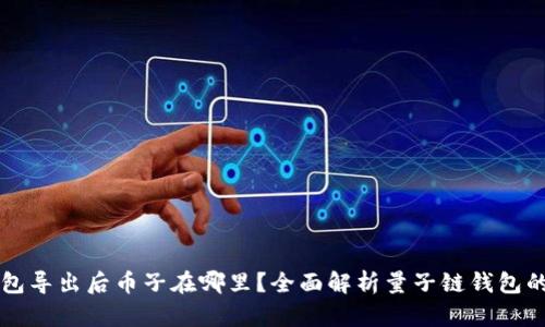 量子链钱包导出后币子在哪里？全面解析量子链钱包的存取方式