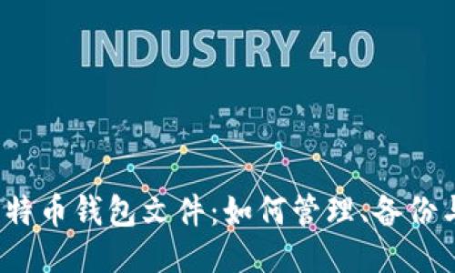  探秘莱特币钱包文件：如何管理、备份与安全性