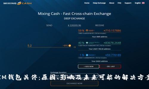 IM钱包关停：原因、影响及未来可能的解决方案