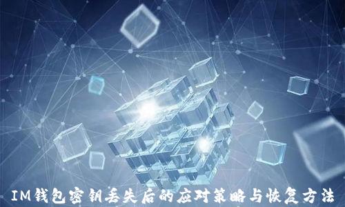 
IM钱包密钥丢失后的应对策略与恢复方法