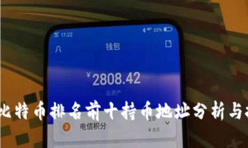 2023年比特币排名前十持币地址分析与投资策略