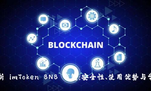 全面解析 imToken BNB 钱包：安全性、使用优势与常见问题