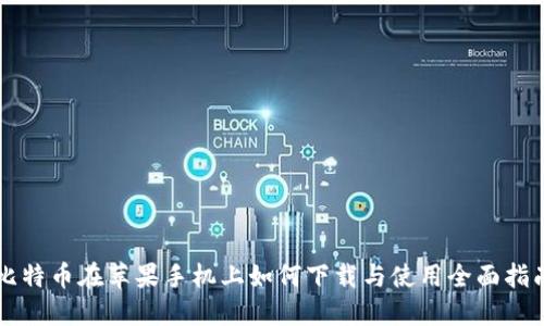 比特币在苹果手机上如何下载与使用全面指南