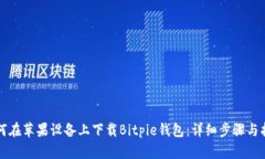 如何在苹果设备上下载Bitpie钱包：详细步骤与指