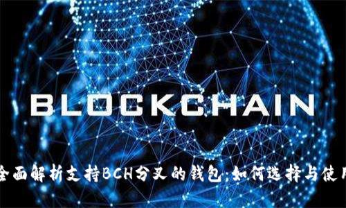 全面解析支持BCH分叉的钱包：如何选择与使用