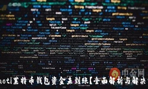   
bianoti莱特币钱包资金未到账？全面解析与解决方案