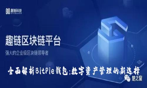 全面解析BitPie钱包：数字资产管理的新选择