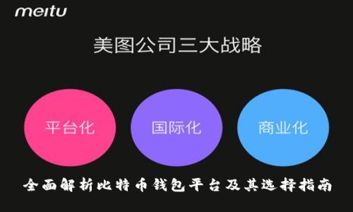全面解析比特币钱包平台及其选择指南