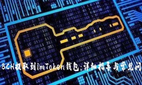如何将BCH提取到imToken钱包：详细指导与常见问题解答