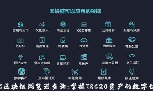 
TRC区块链浏览器查询：掌握TRC20资产的数字世界
