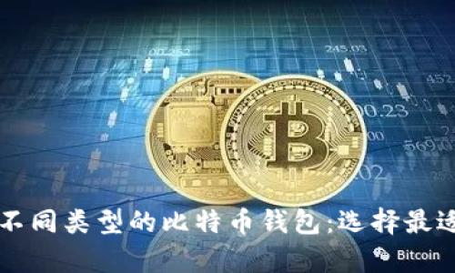 ### 全面解析不同类型的比特币钱包：选择最适合你的钱包类型