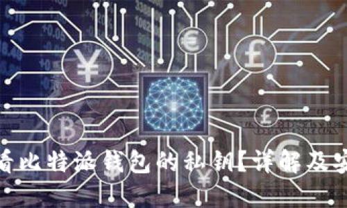 如何查看比特派钱包的私钥？详解及安全措施