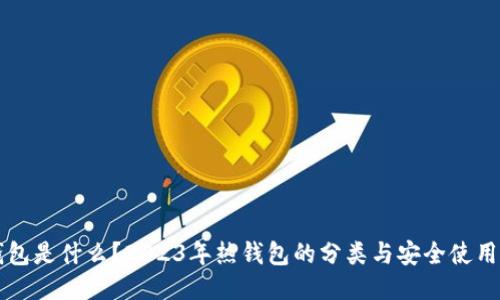 热钱包是什么？2023年热钱包的分类与安全使用指南