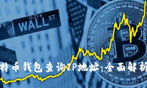 如何通过比特币钱包查询IP地址：全面解析与安全建议