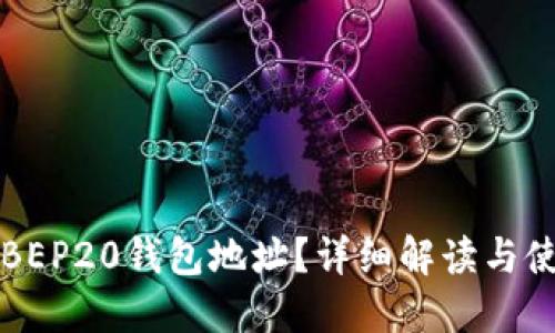 什么是BEP20钱包地址？详细解读与使用指南