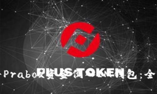 如何将Prabox资金倒入IM钱包：全面指南