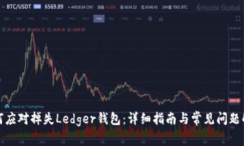 如何应对掉失Ledger钱包：详细指南与常见问题解答