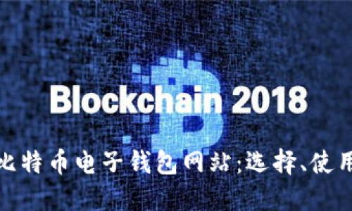 全面解读比特币电子钱包网站：选择、使用与安全性