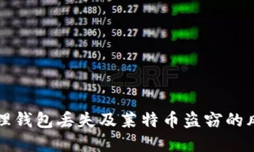 如何处理钱包丢失及莱特币盗窃的风险防范