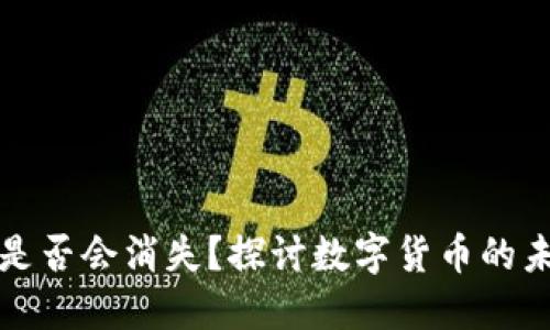 比特币钱包是否会消失？探讨数字货币的未来与安全性